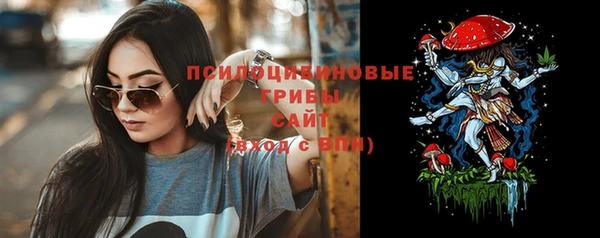 гидра Алзамай