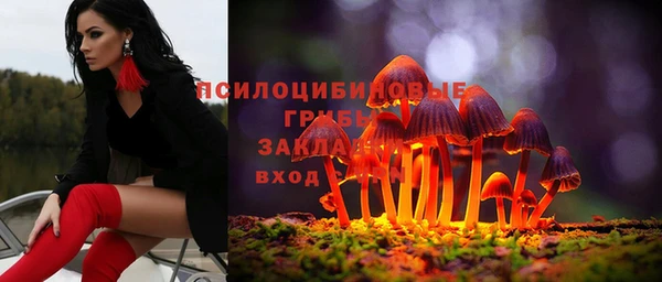 прущие крисы Алексин