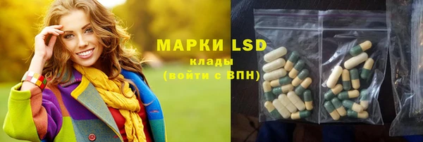 ПСИЛОЦИБИНОВЫЕ ГРИБЫ Алексеевка