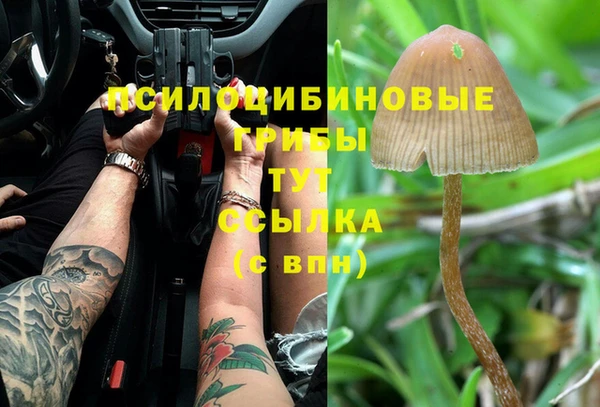 прущие крисы Алексин