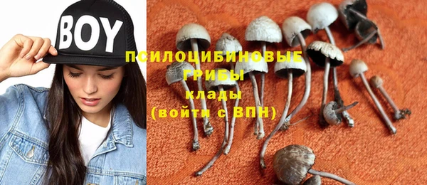 ПСИЛОЦИБИНОВЫЕ ГРИБЫ Алексеевка