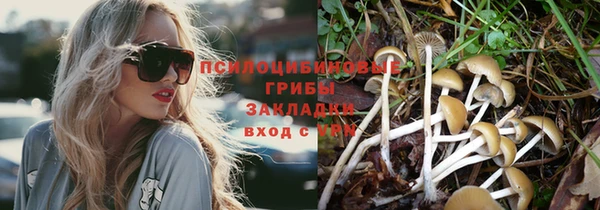 гидра Алзамай