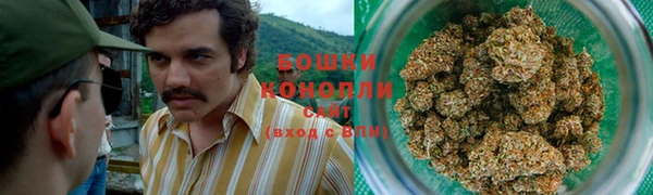 ПСИЛОЦИБИНОВЫЕ ГРИБЫ Алексеевка